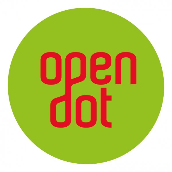 The first year of Opendot. Projects, experiences and future visions...in 3D