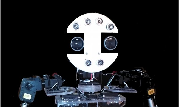 VICHI Cooding and Robotic