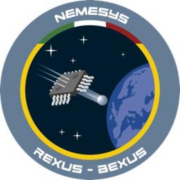 NEMESYS (Neutron Effects on MEMory SYStems)