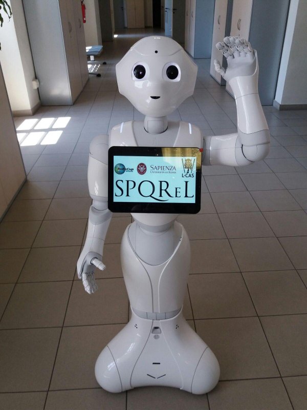 Competizioni robotiche : Robot Domestici e Robot Calciatori