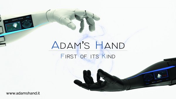 Adam's Hand