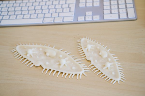 Climax 3D - immagina, crea, stampa