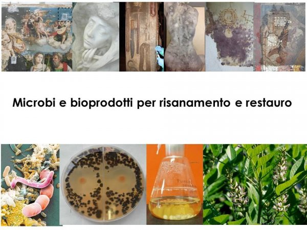 Formule microbiche e bioprodotti per il risanamento ambientale e il restauro