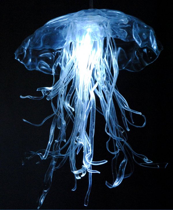 pet meduse