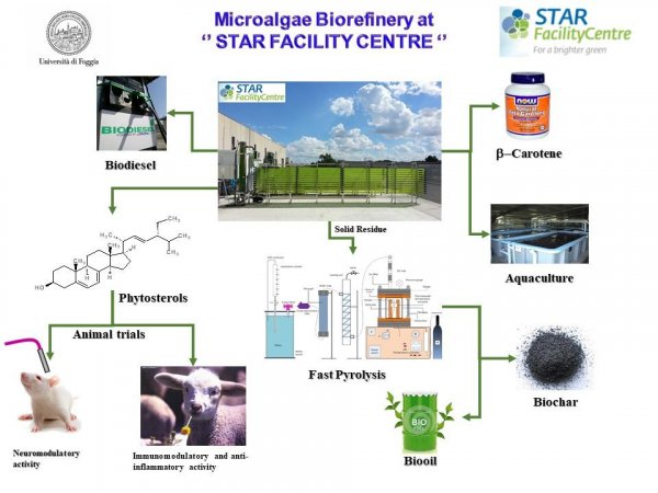 Algae Biorefinery