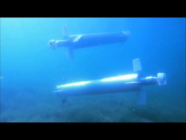 VENUS: Robot in sciami per esplorare il mare