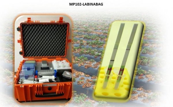 MP102-LABINABAG: a prototype molecular diagnostic kit 