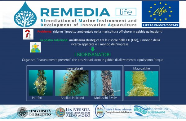 Remediation of Marine Environment and Development of Innovative Aquaculture: exploitation of Edible/not Edible biomass - Remedia Life
