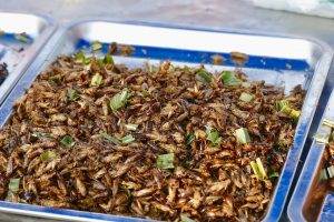 Street food a base di insetti, molto comune nei Paesi asiatici