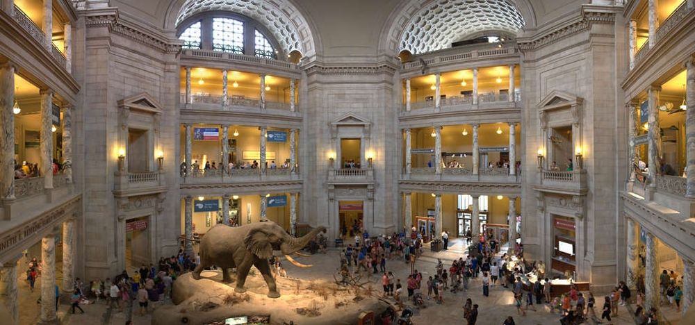 Sala interna Smithsonian's National Museum of Natural History