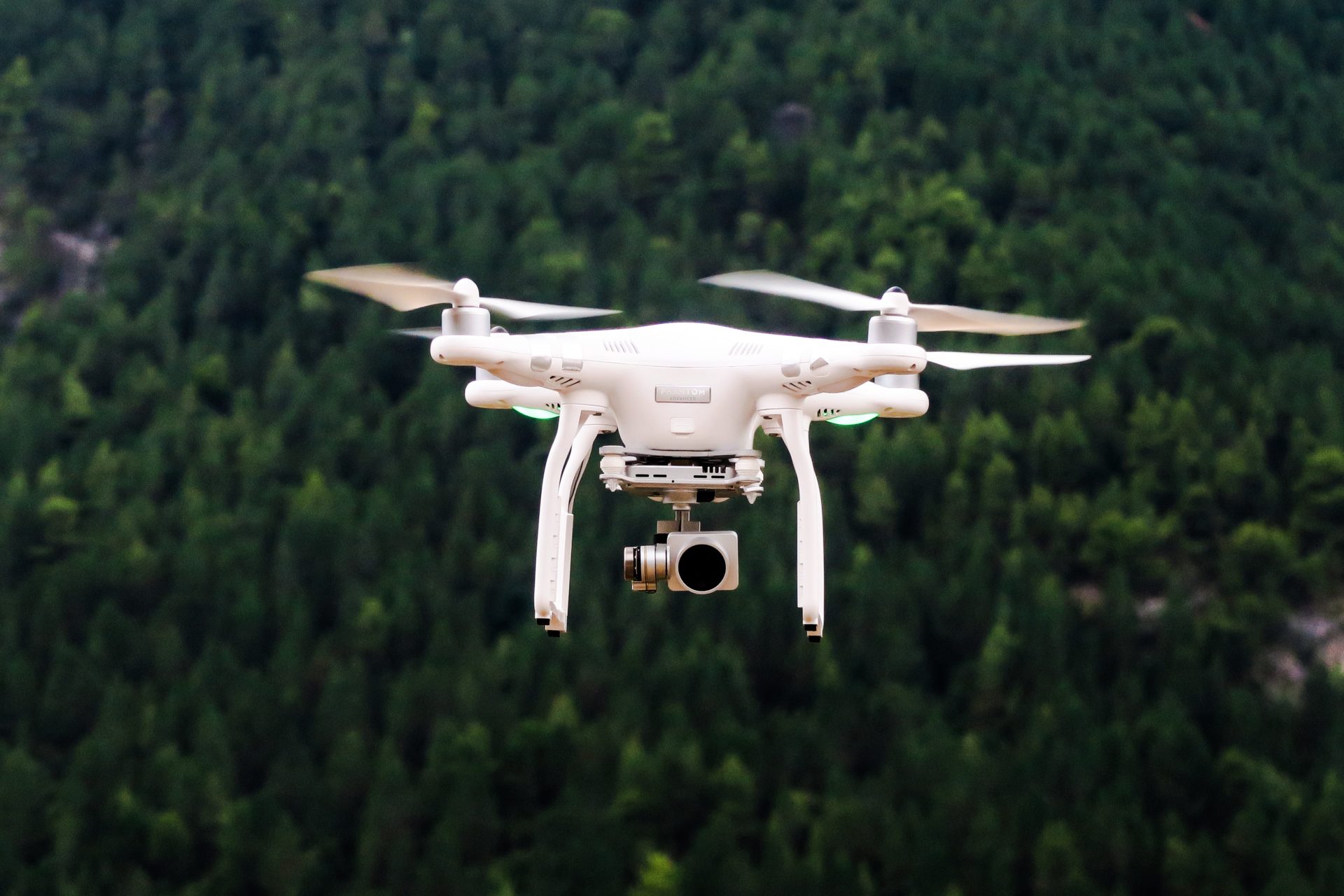 Drone che vola su foresta di abeti